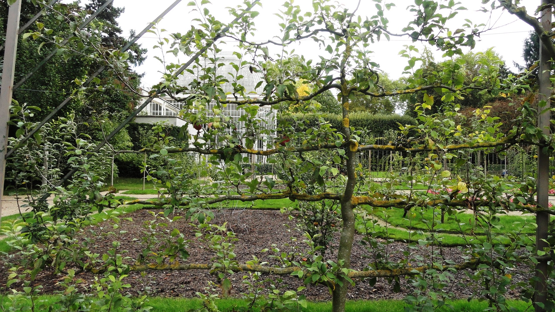 Jardins Albert Kahn - Verger et roseraie