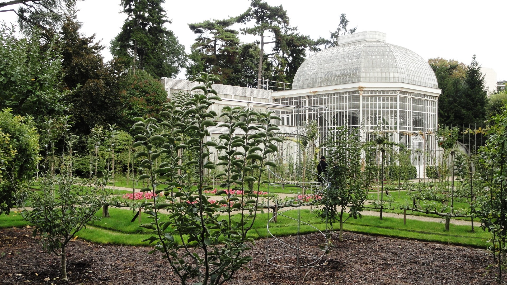 Jardins Albert Kahn - Verger et roseraie - Serre