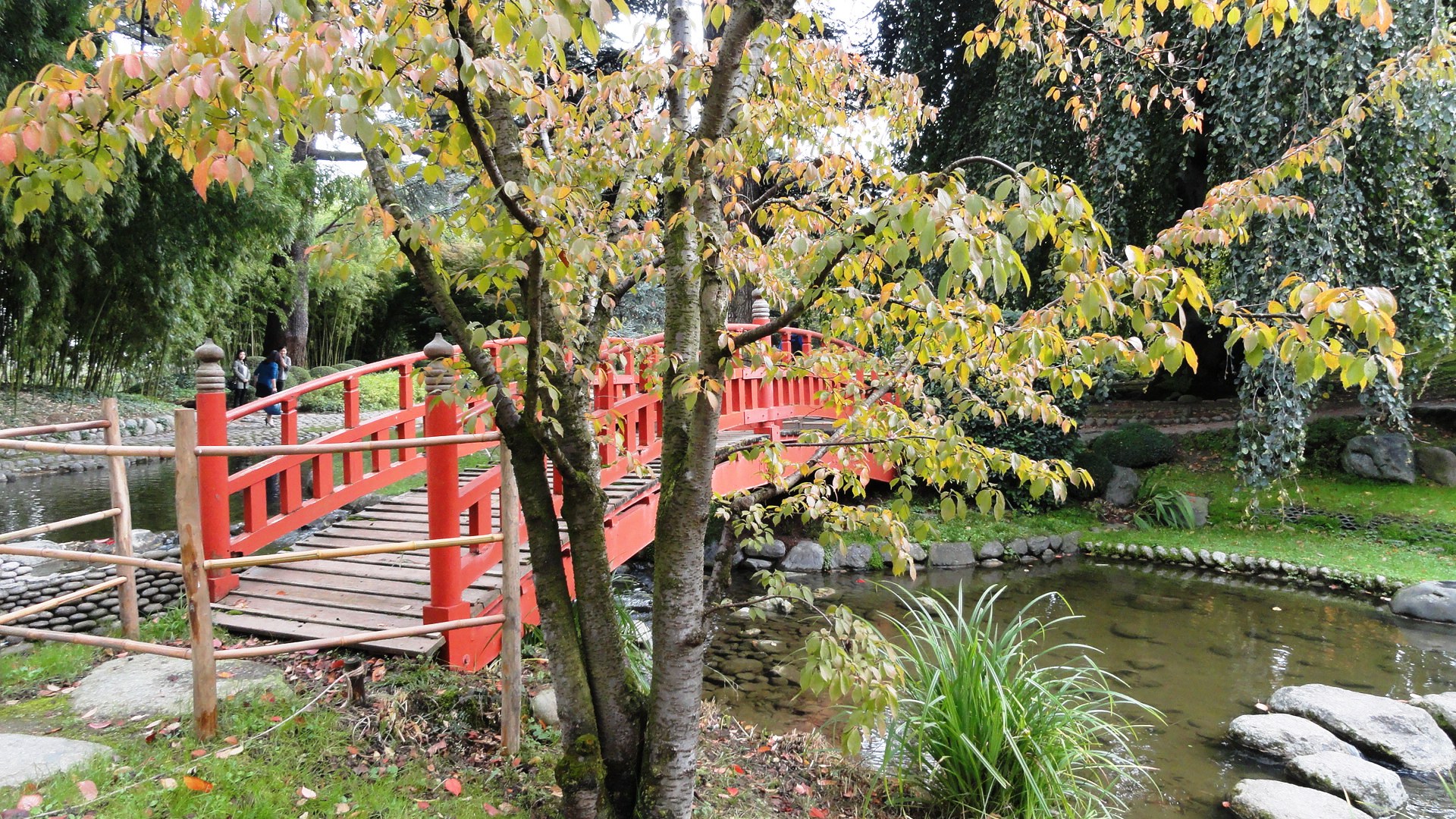 Jardins Albert Kahn - Jardin japonais moderne - Pont