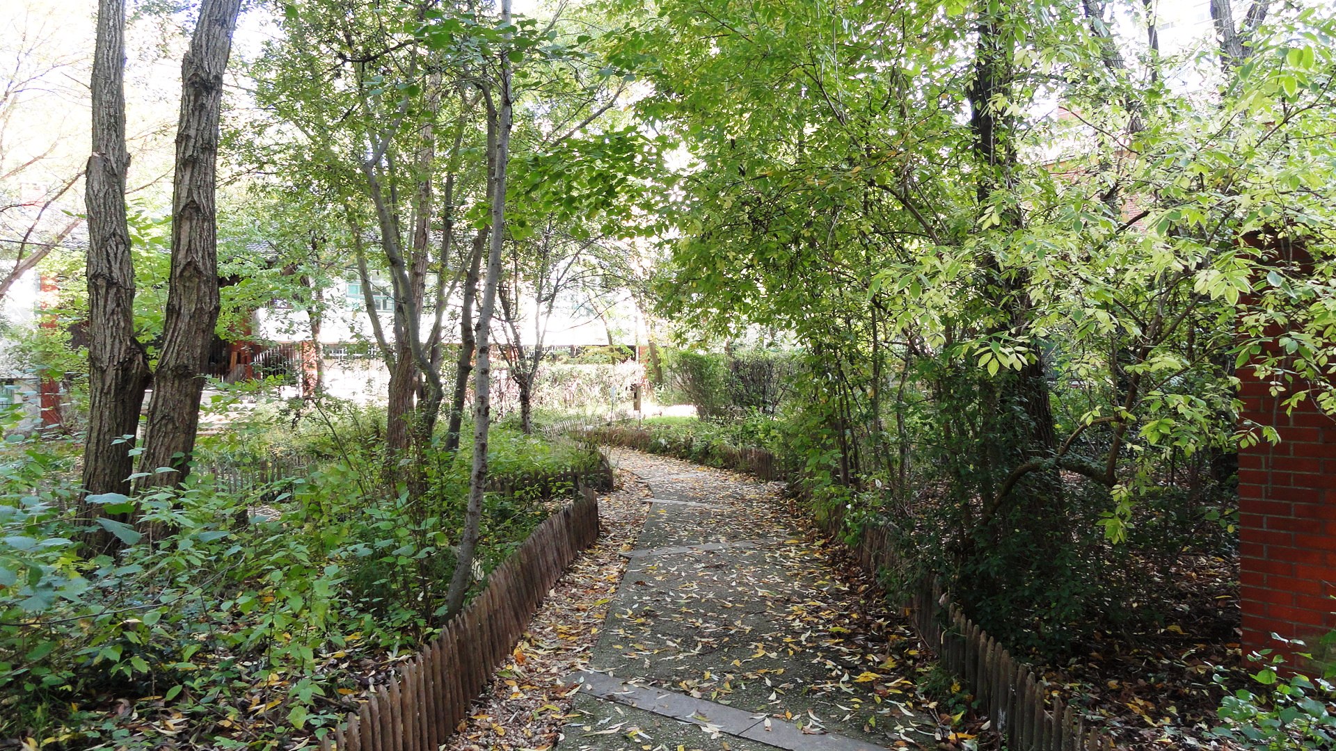 Jardin naturel, Paris 20e