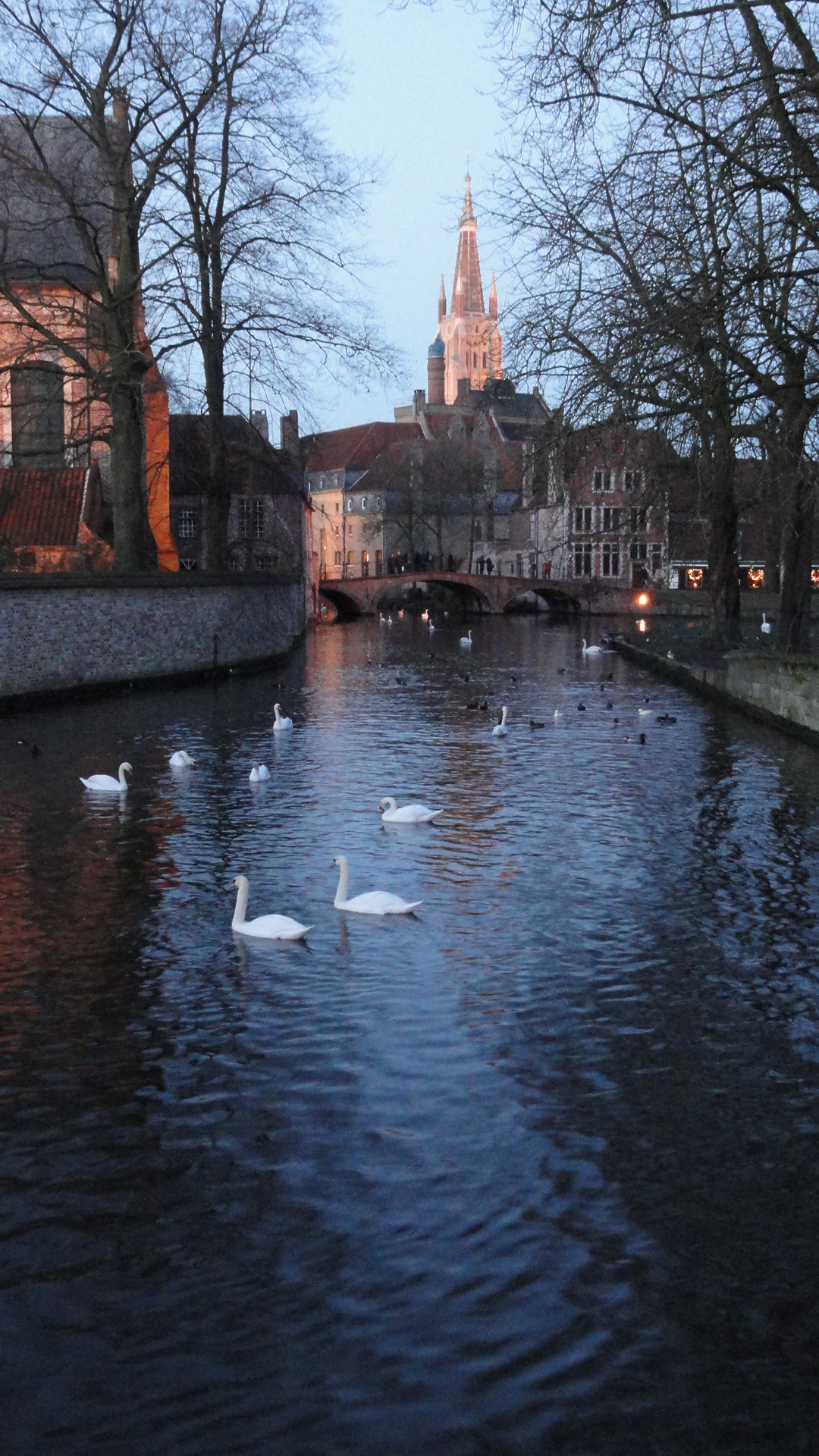 Bruges - Béguinage
