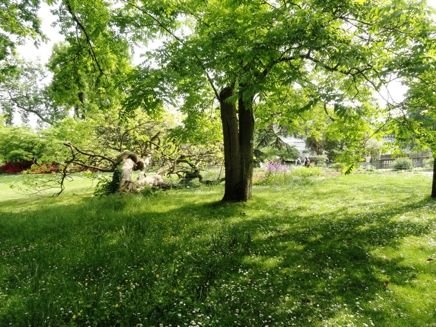 Jardin des Serres d'Auteuil, Paris 16e