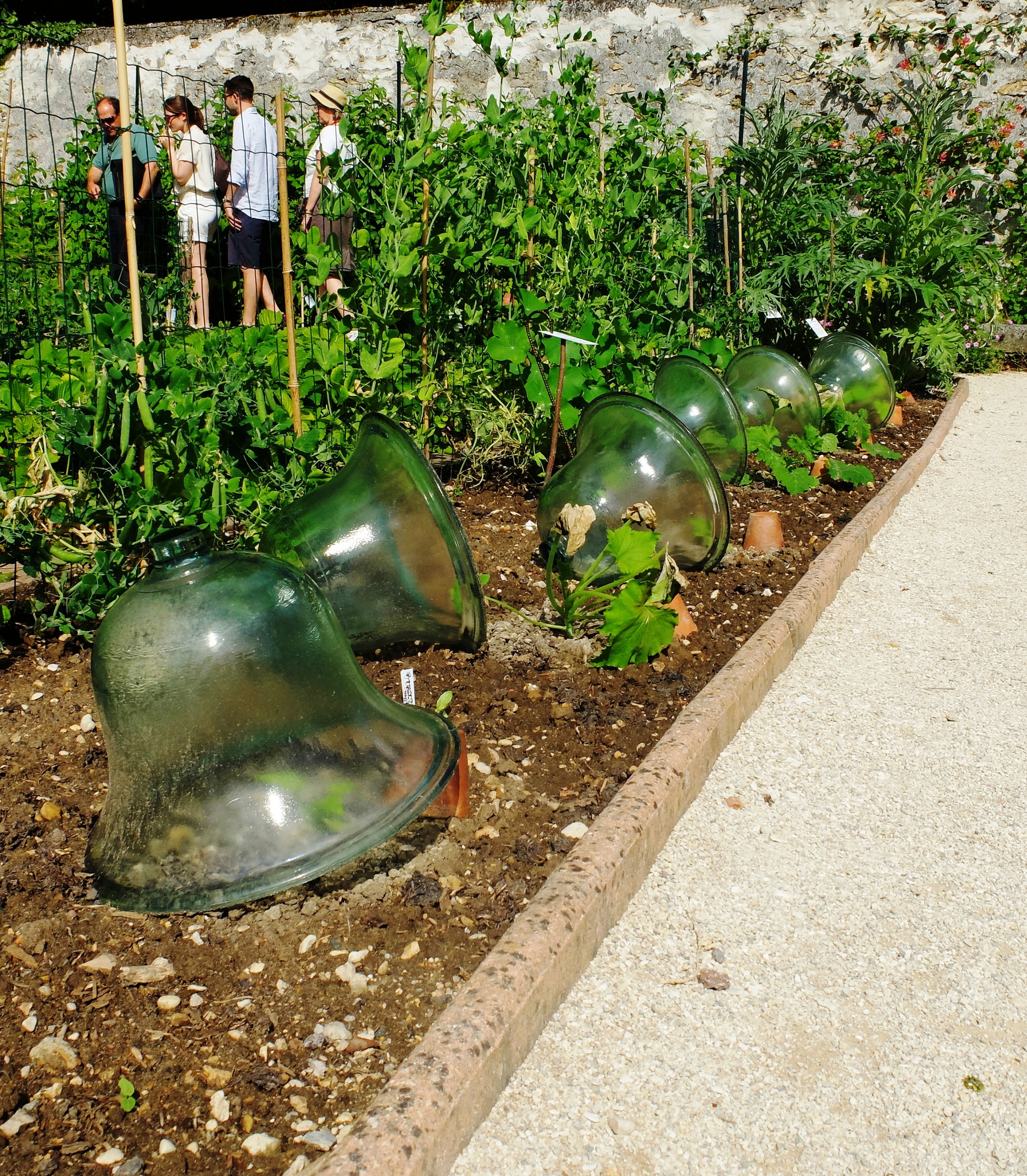 Propriété Caillebotte, Yerres - Le jardin potager