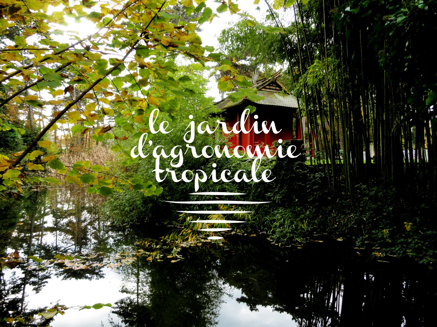 Jardin d'Agronomie Tropicale, Bois de Vincennes