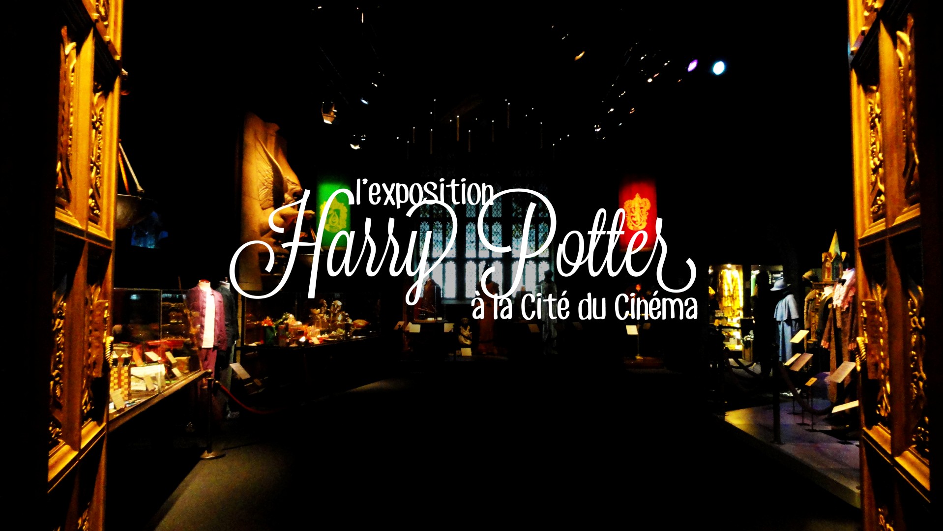 20150430_expo_harry_potter-3 (Large)