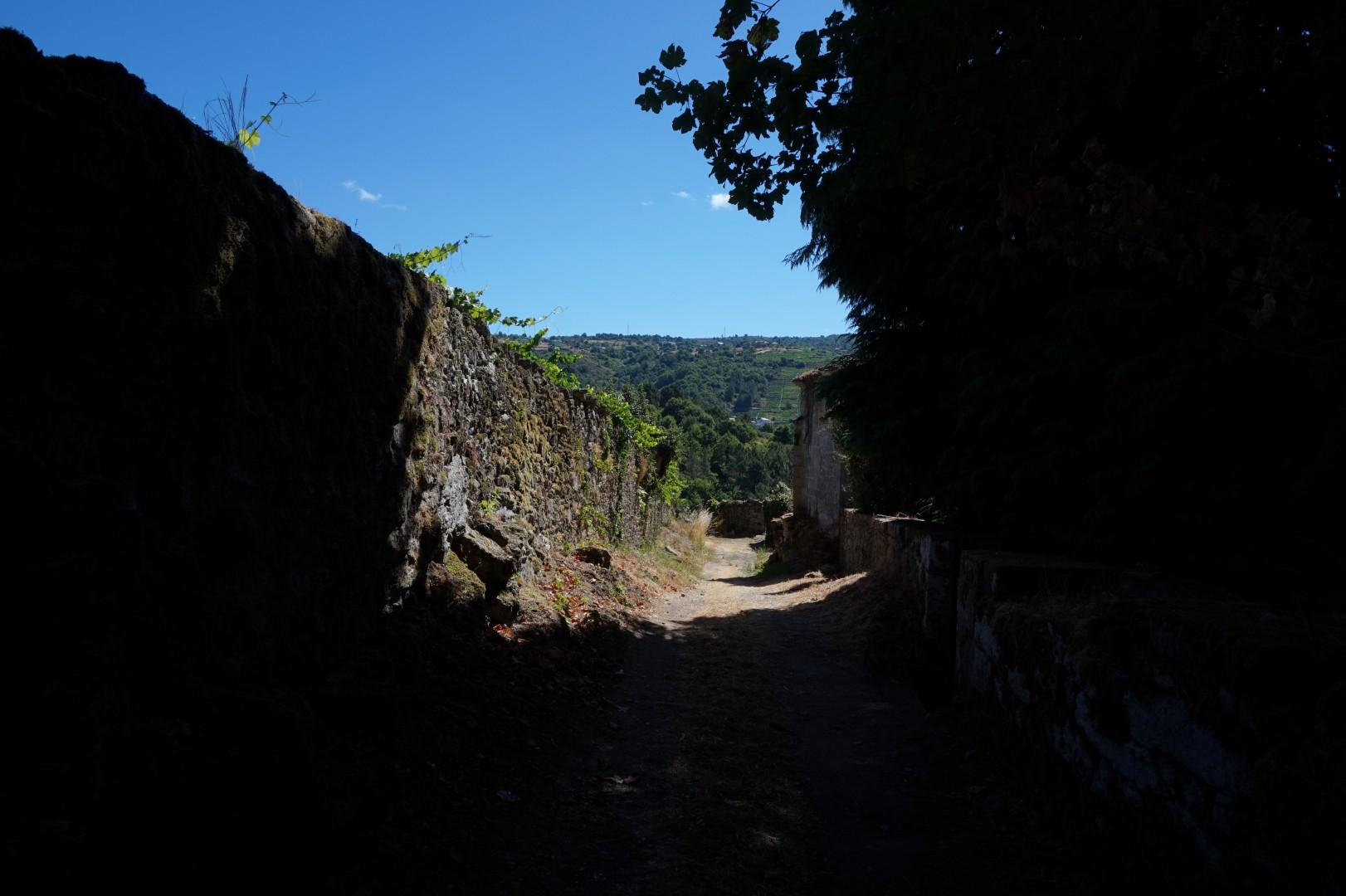 Sur les routes de Galice - Ribeira Sacra