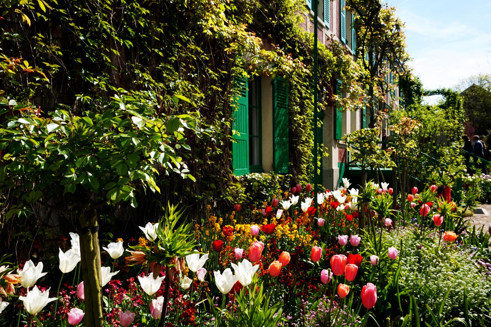 Balade dans les jardins de Monet - le Clos Normand