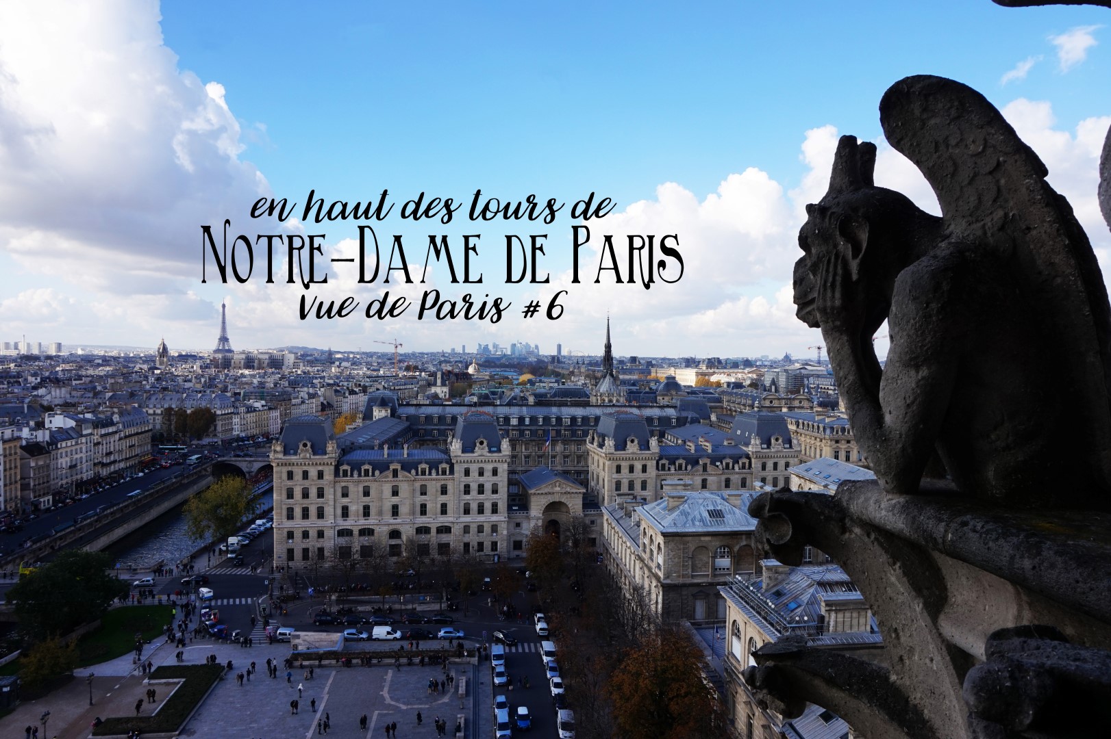 Vues de Paris #6 - Les tours de Notre Dame de Paris
