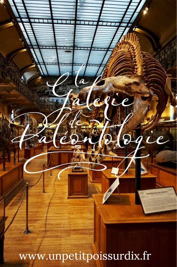 Visite de la Galerie de Paléontologie et d’Anatomie comparée - Paris 5e