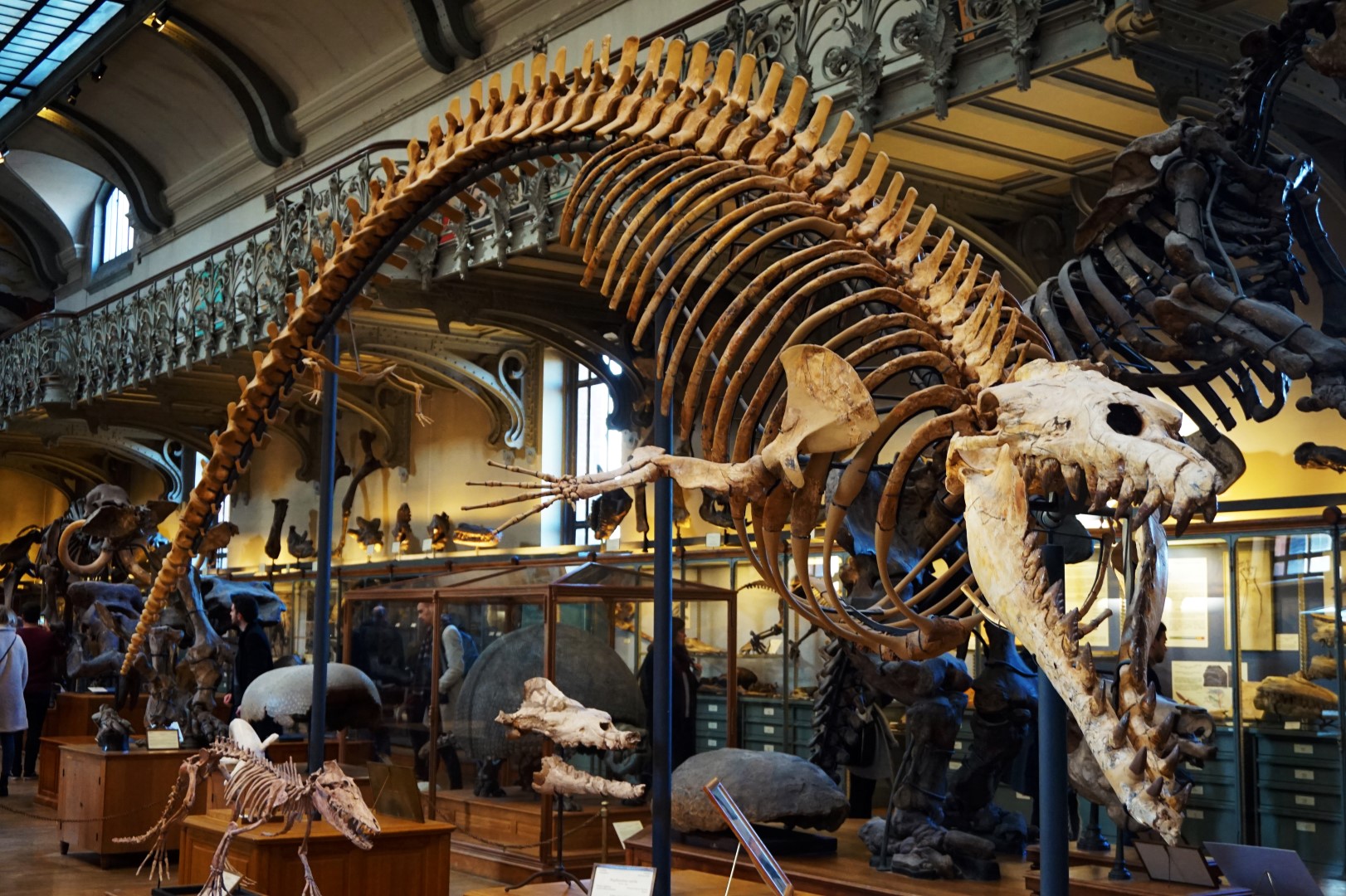La Galerie de Paléontologie et d'Anatomie