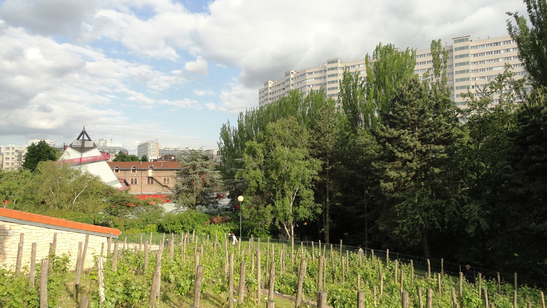 Parc Georges Brassens - Pieds de vigne