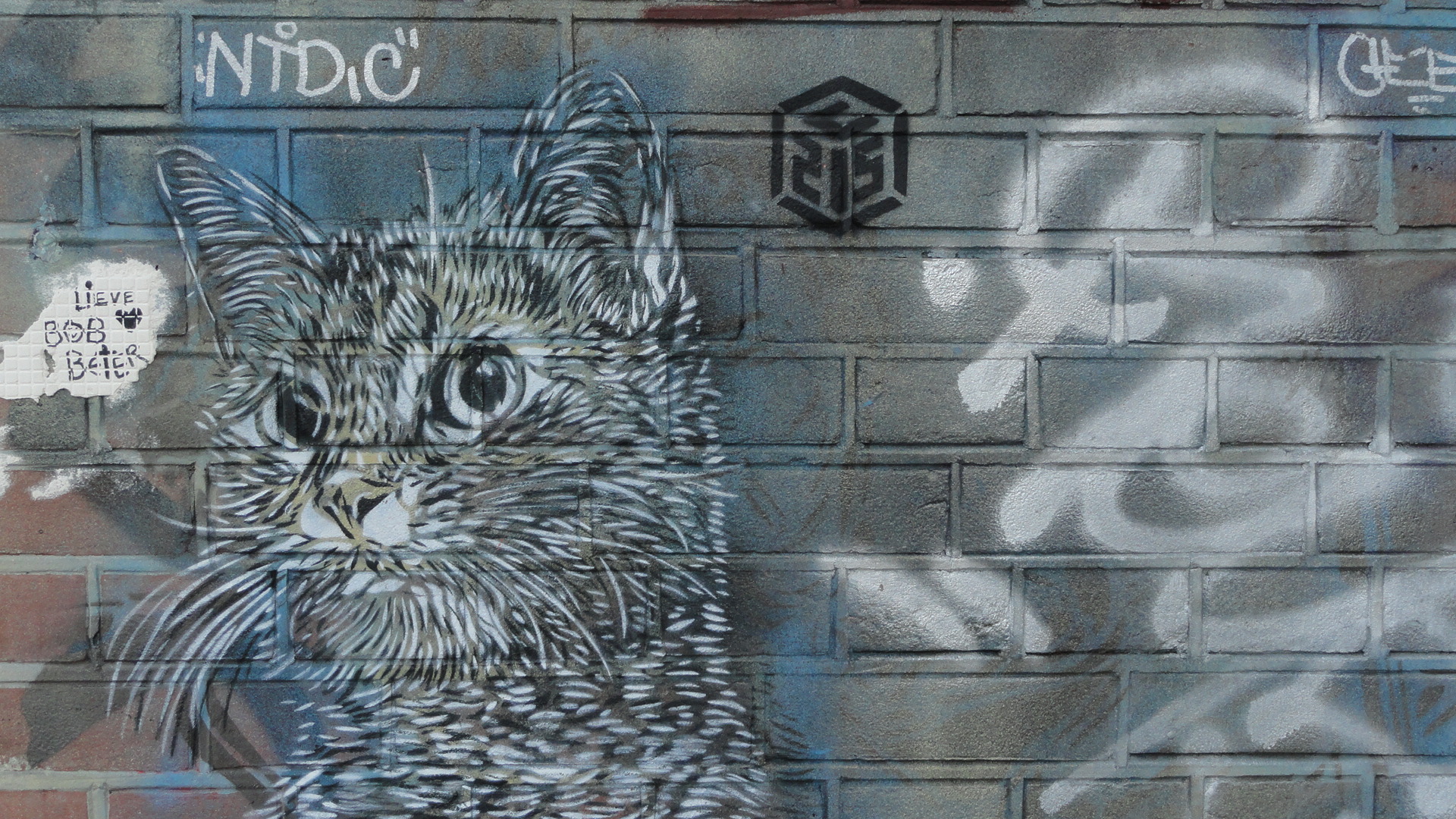Amsterdam - Street art - Chat de C215