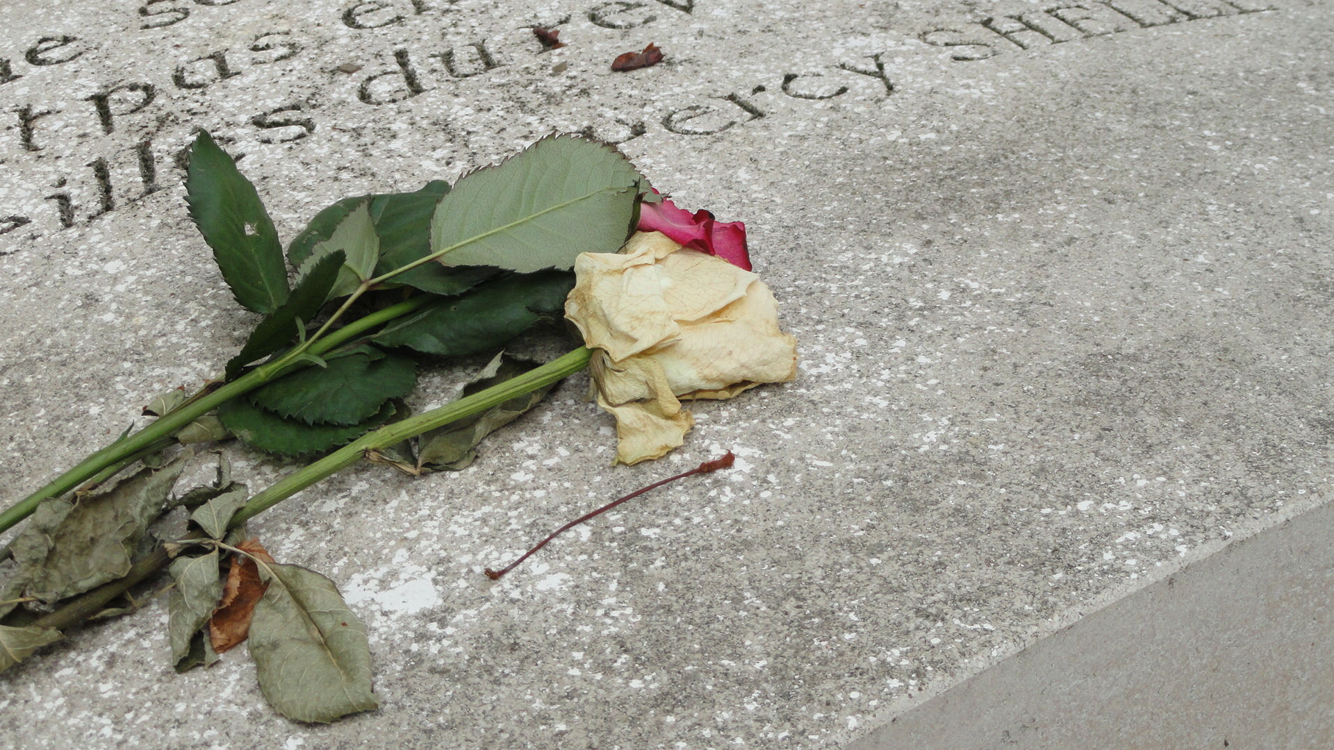 Le cimetière du Père Lachaise - Tombe de Marie Trintignant - Fleurs