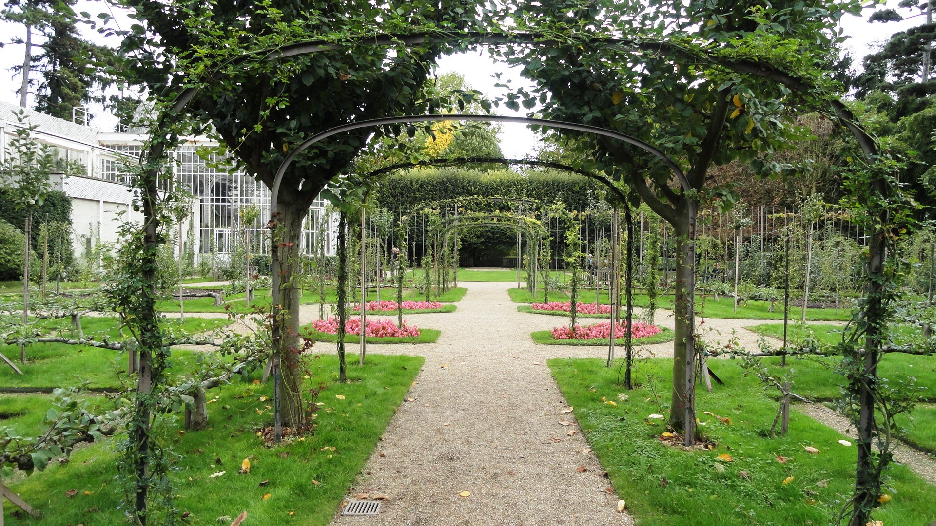 Jardins Albert Kahn - Verger et roseraie