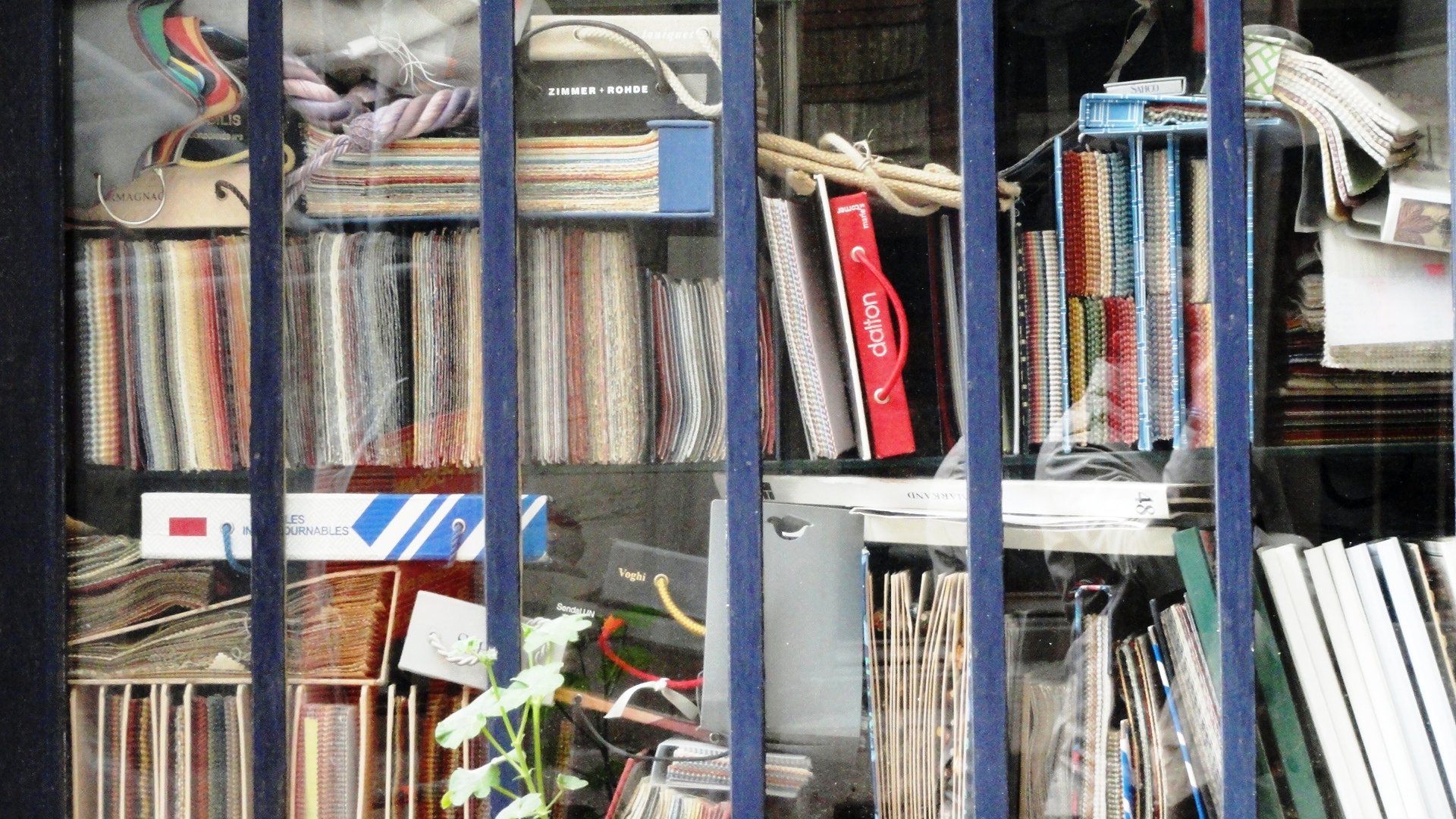 Les secrets de la rue du Faubourg Saint Antoine - Un petit pois sur dix