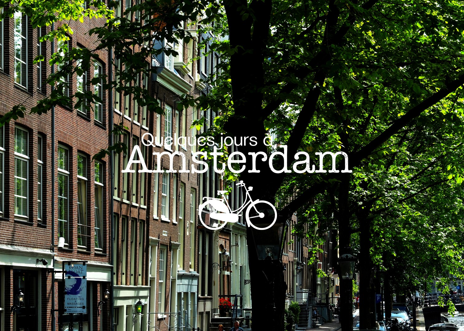 Amsterdam, Capitale du cool et des chats