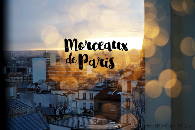 Morceaux de Paris #6 | Janvier – Mars 2016
