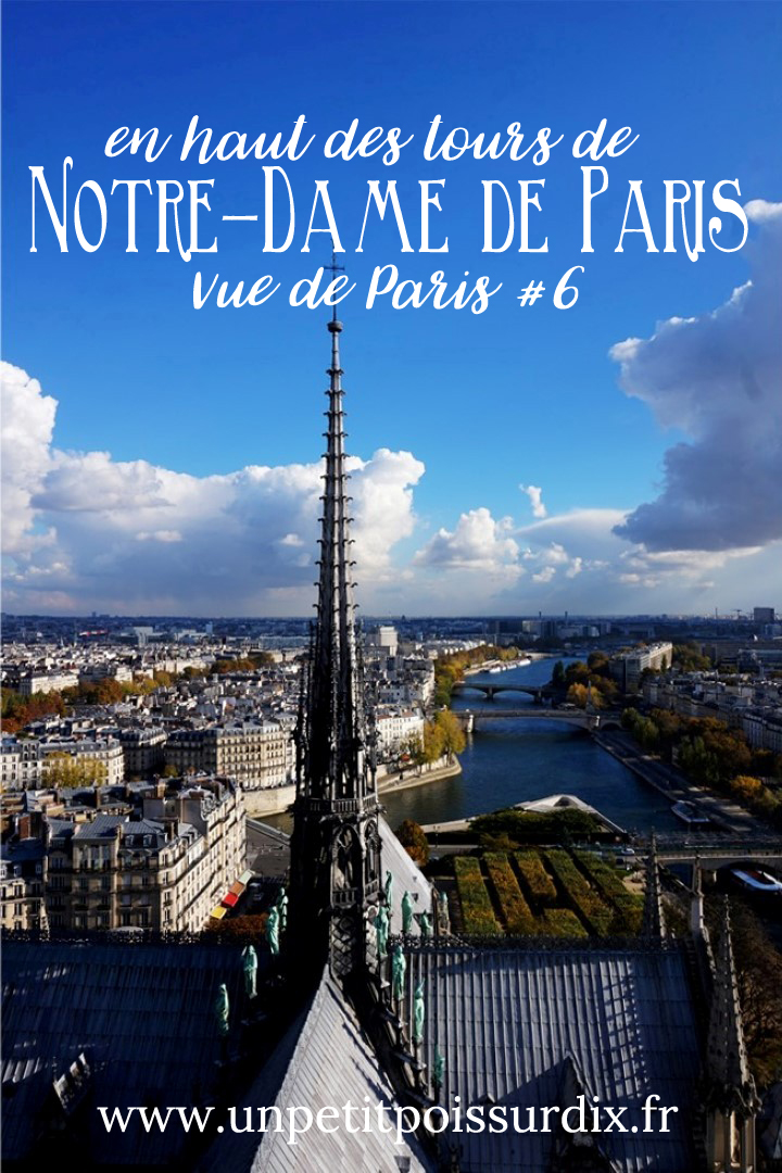 Vue de Paris - En haut des Tours de Notre Dame