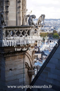 Vue de Paris - En haut des Tours de Notre Dame