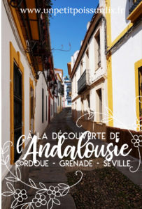 Voyage en Andalousie - Cordoue, Grenade, Séville