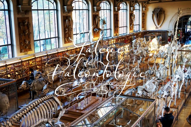La Galerie de Paléontologie et d’Anatomie Comparée