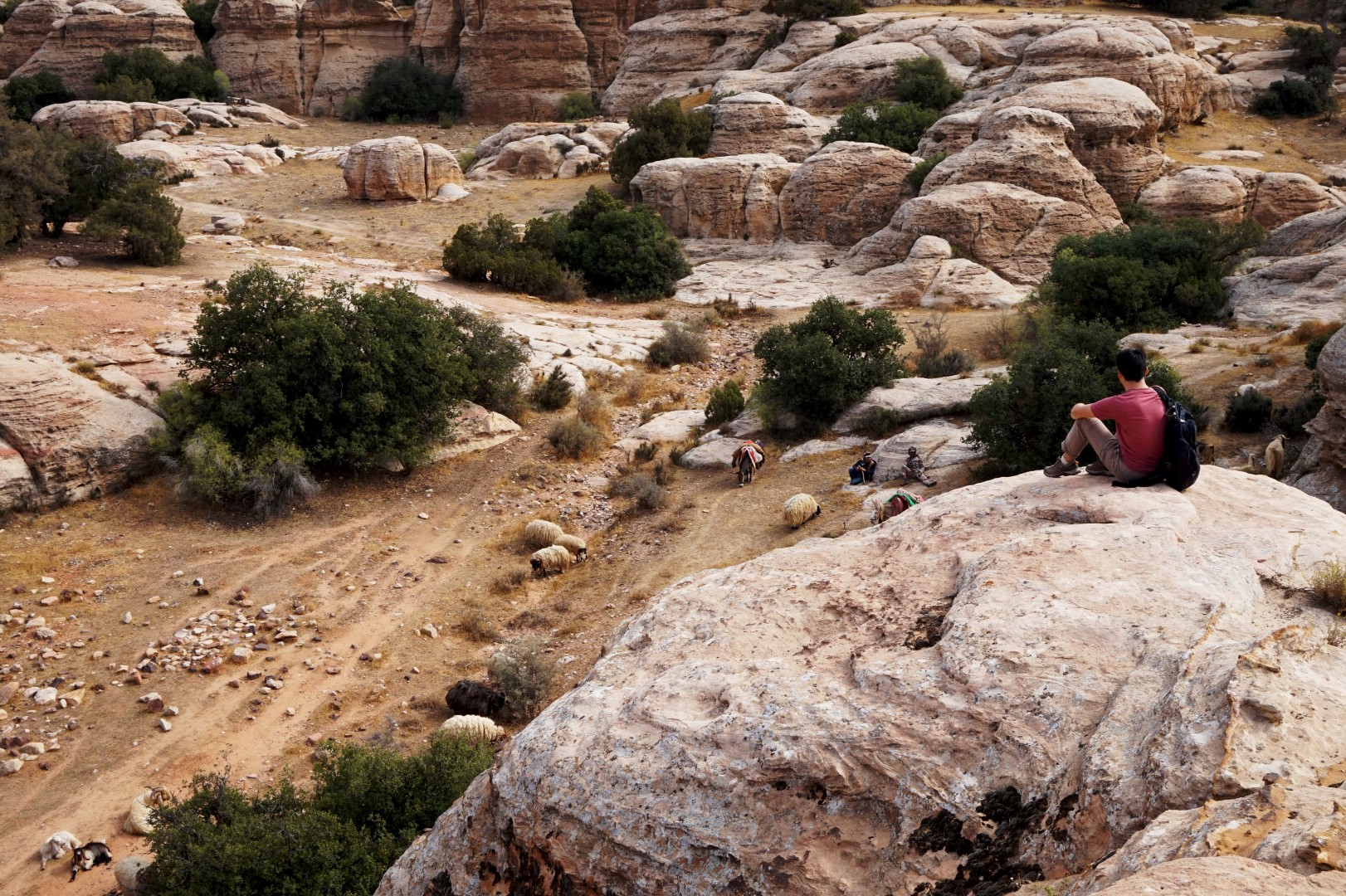 Voyage en Jordanie - Petra Wadi-Rum - Réserve naturelle de Dana