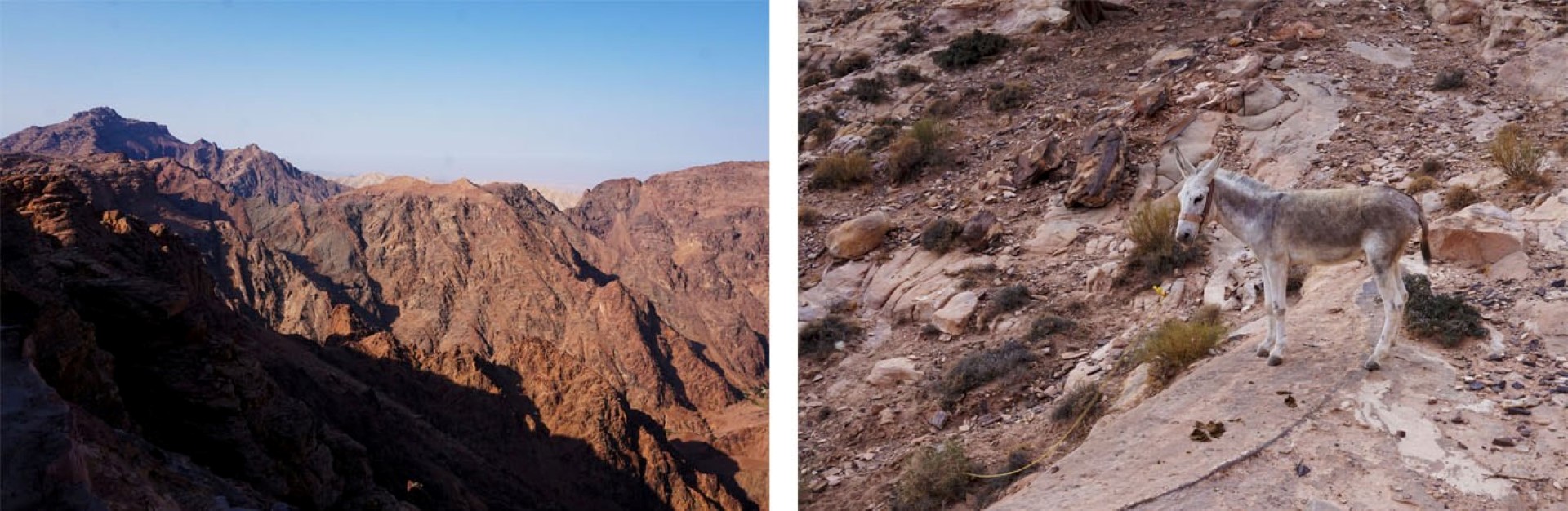 Voyage en Jordanie - Petra Wadi-Rum - Entre Little Petra et Petra