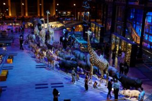 Nuit des Musées 2022 - La Grande Galerie de l'Evolution